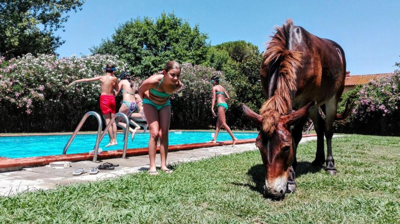 Agriturismo Il Bottaccino Monsummano Terme Eksteriør bilde